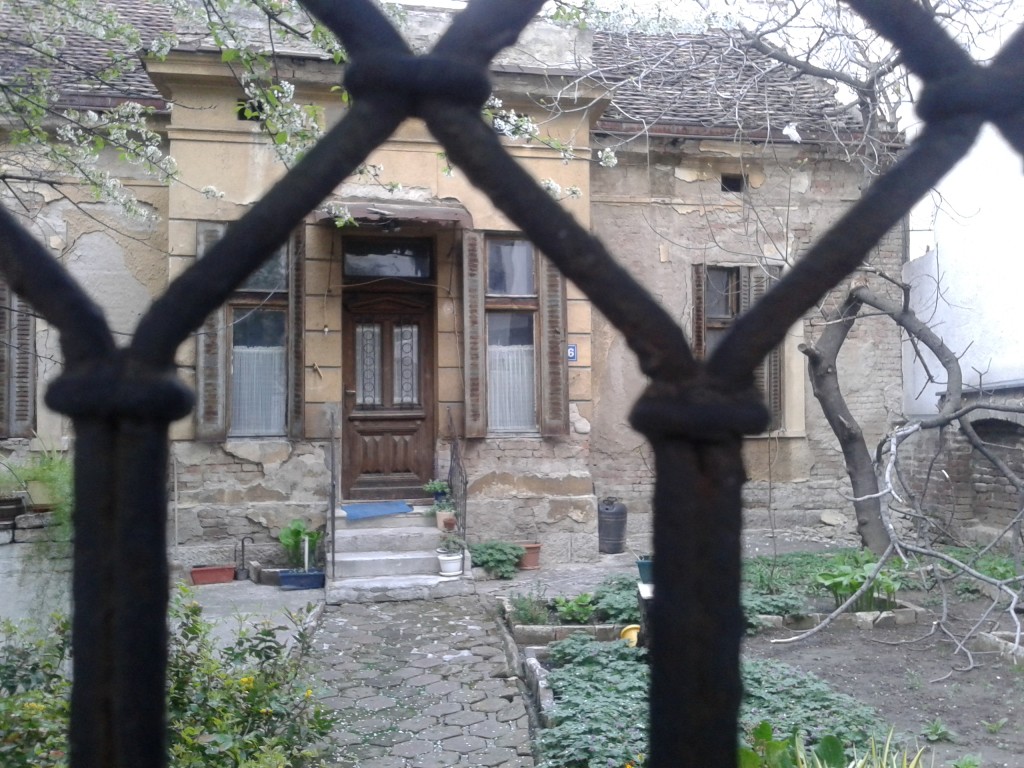 Little house with garden in the middle of Belgrade