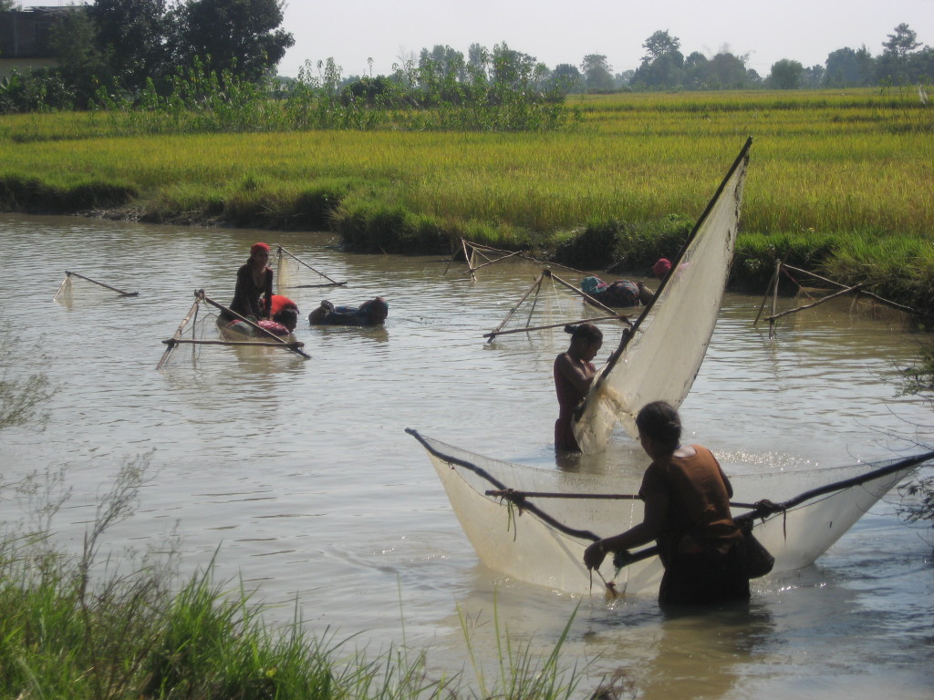 Fishing in a pond in the Nepal lowlands