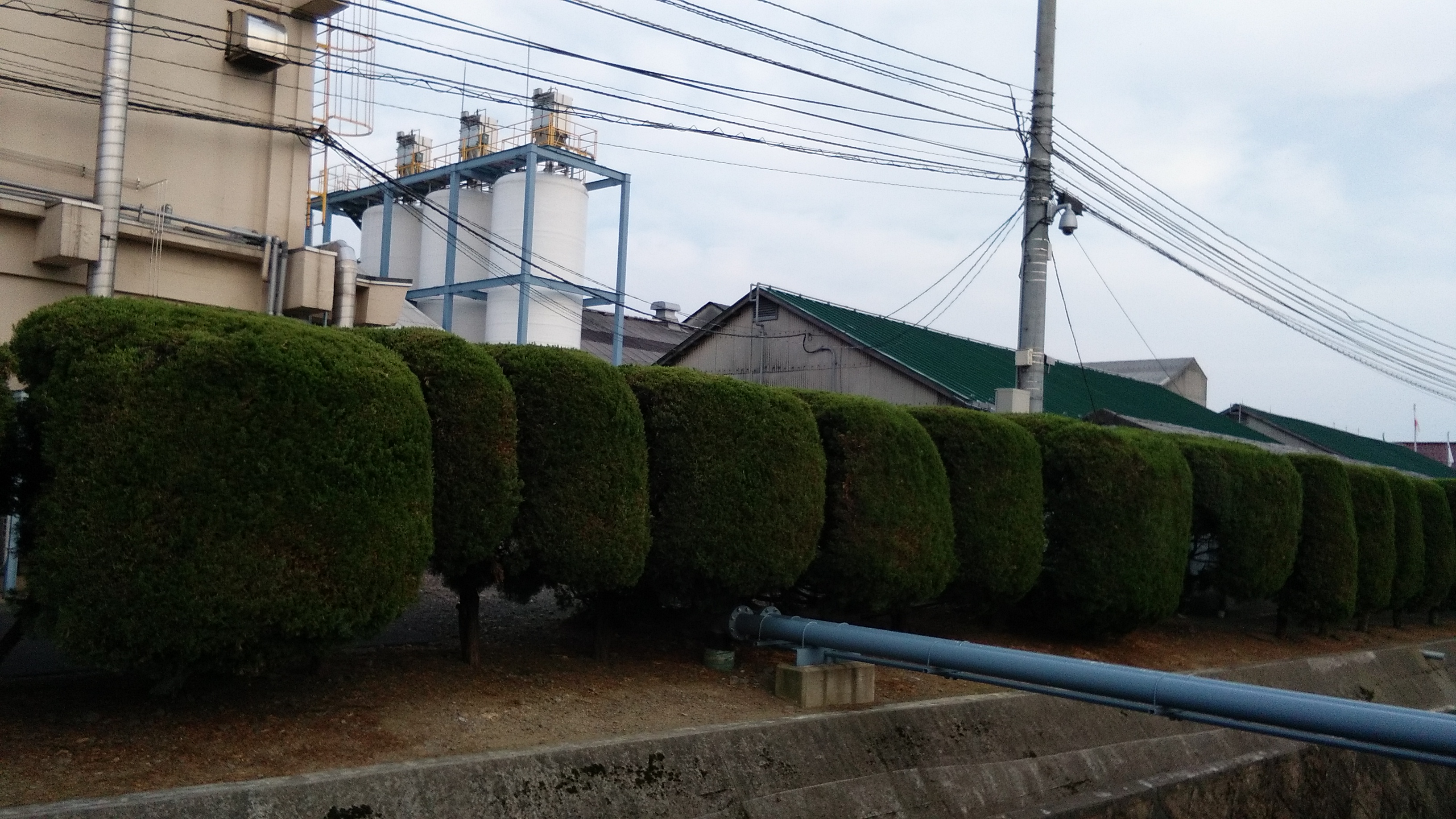 Perfectly cut trees around a factory building