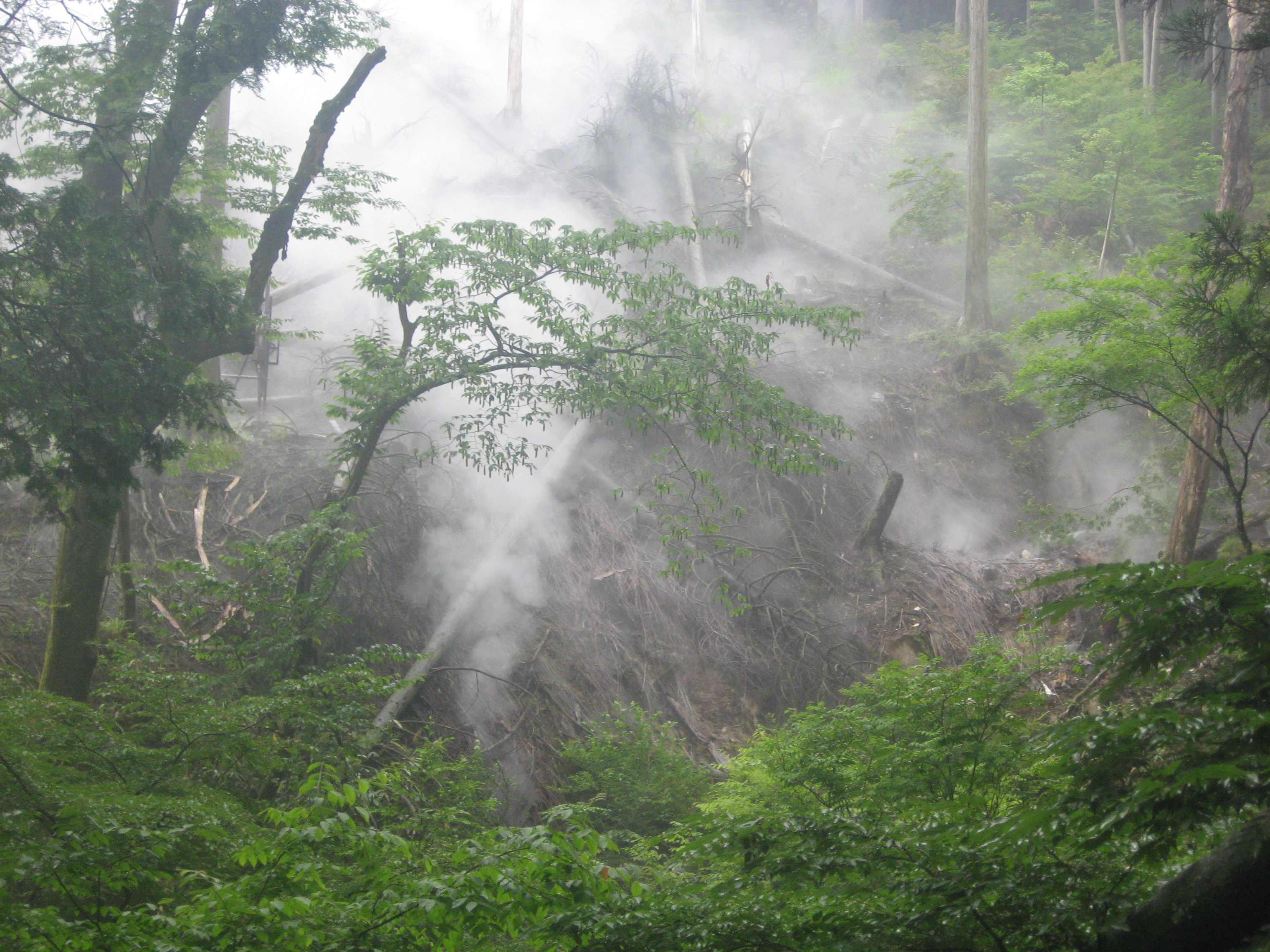 Around Mt. Fuji. Steam comes out of the ground everywhere. 
