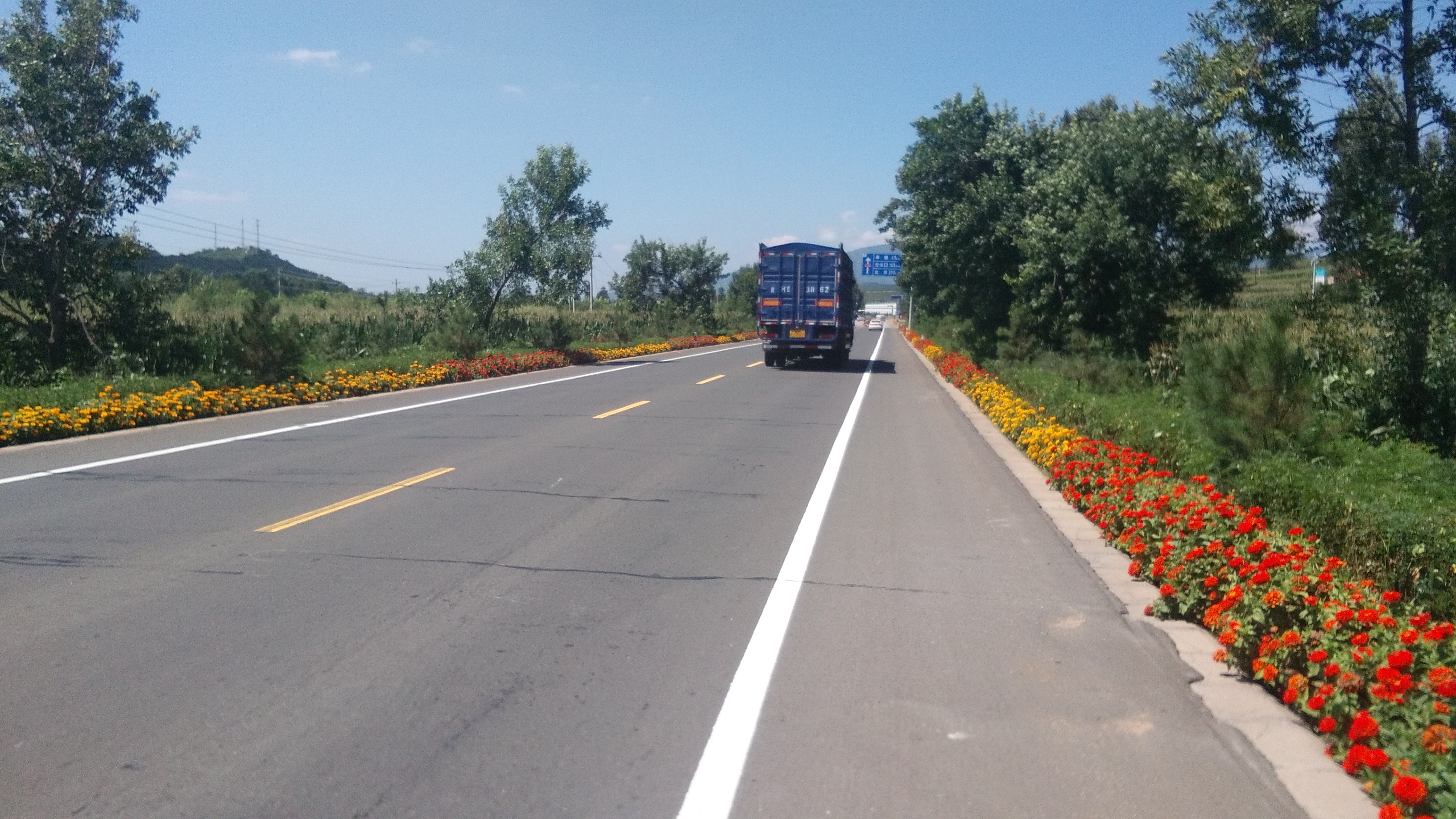 Perfectly decorated and maintained roads. Very common.